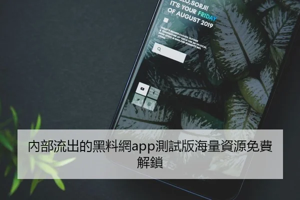 內部流出的黑料網app測試版海量資源免費解鎖