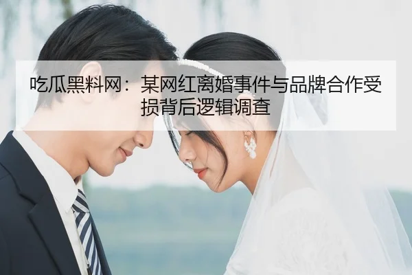 吃瓜黑料网：某网红离婚事件与品牌合作受损背后逻辑调查